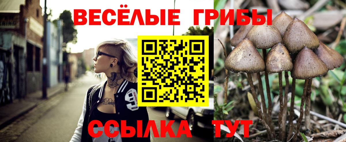 Псилоцибиновые грибы ЛСД Феодосия